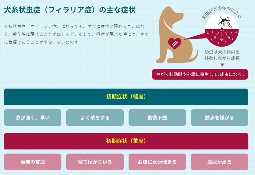 寄生虫 | Zoetis